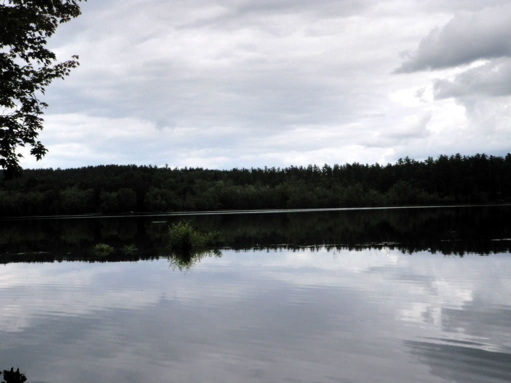 7f2d9370.jpg