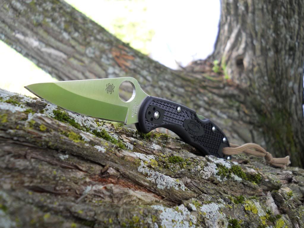 Delica004_zps4e9c98e7.jpg