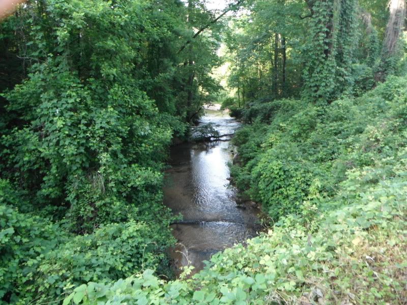 DSCF0003.jpg