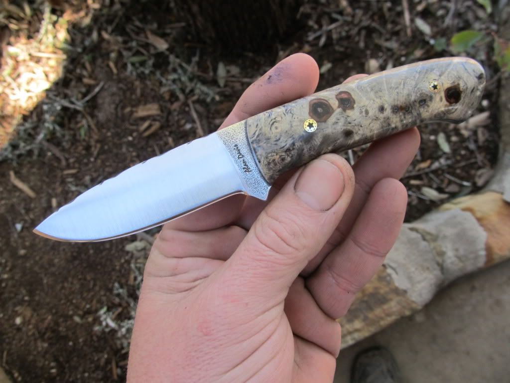 BuckeyeMiniModLoveless016.jpg