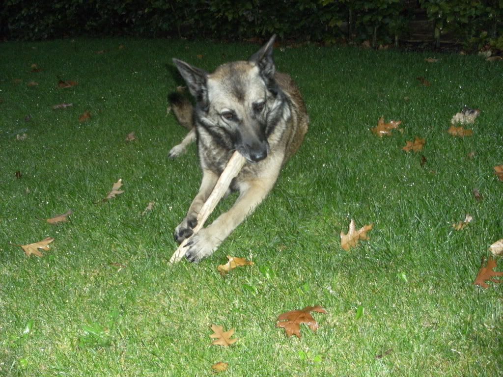 DSCF1228.jpg