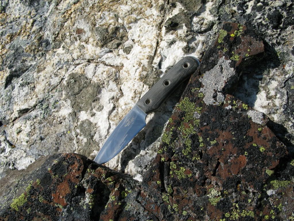 IMG_2684.jpg