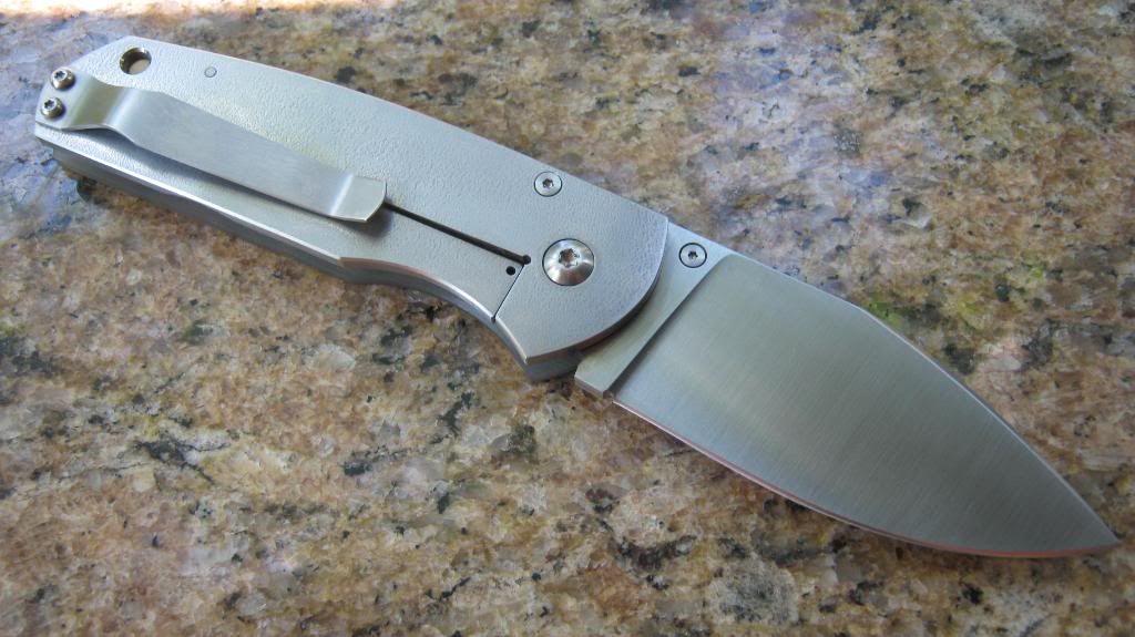 LaconicoFramelock002.jpg