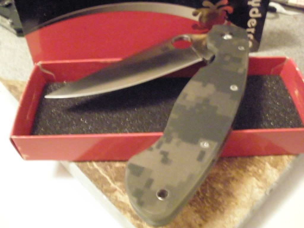 PA270503.jpg