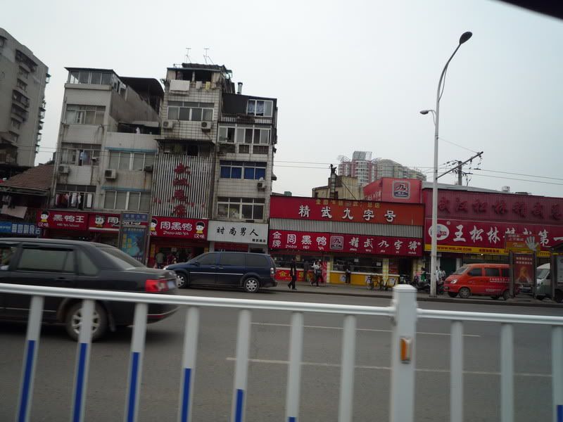 P1060662.jpg
