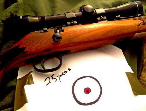 sight%20in%2040_zpsd9wopzqj.jpg
