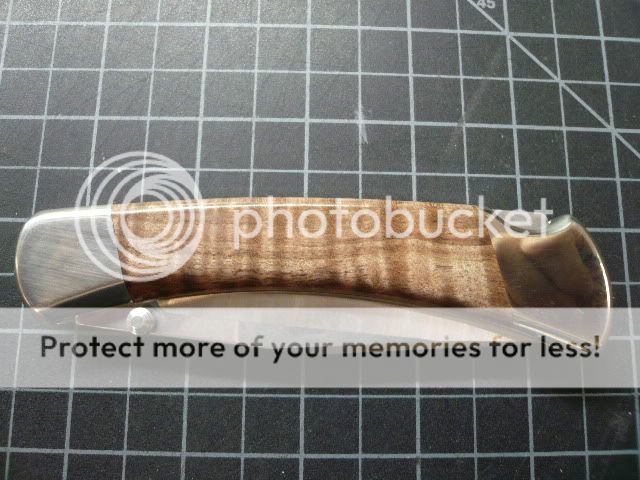 486fiddlebackmaple005.jpg