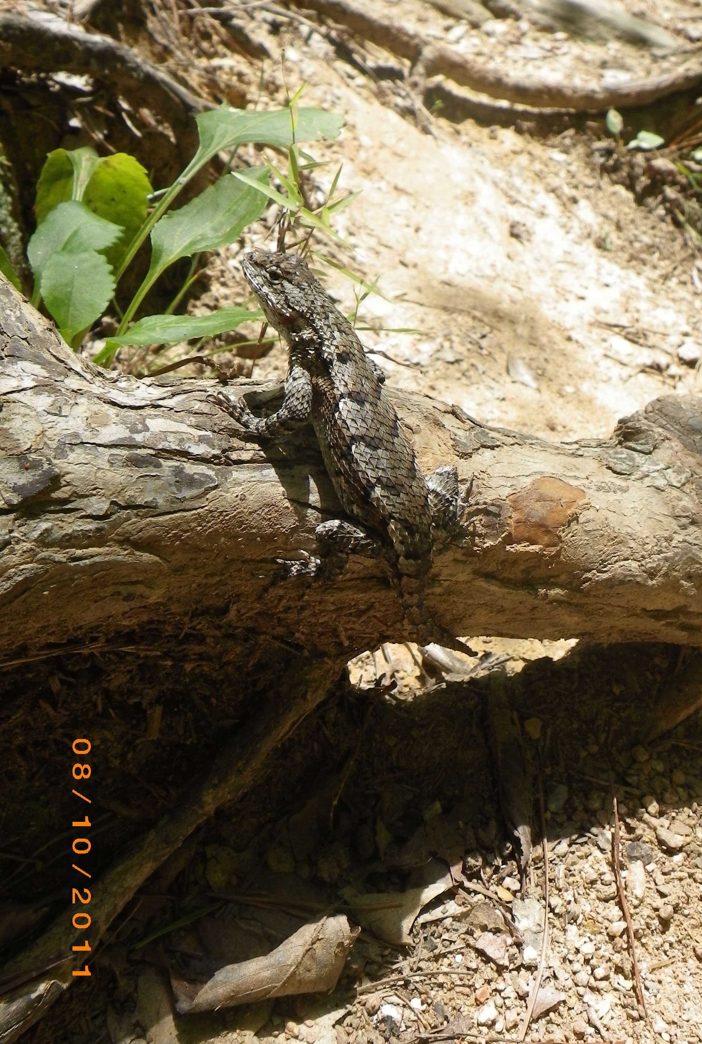 imgp3529s.jpg