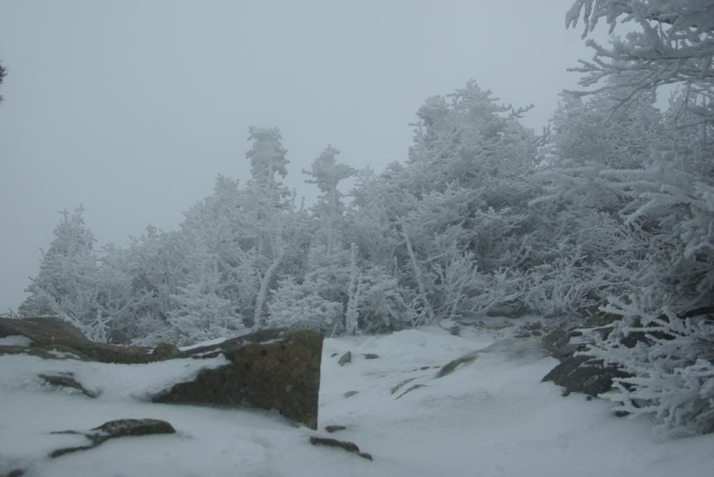 MtLafayette115.jpg