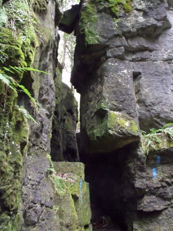 DSCF3497.jpg