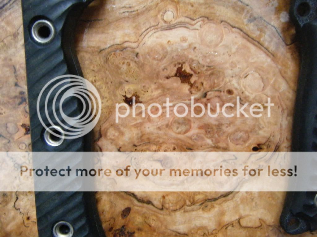 DSCF4814.jpg