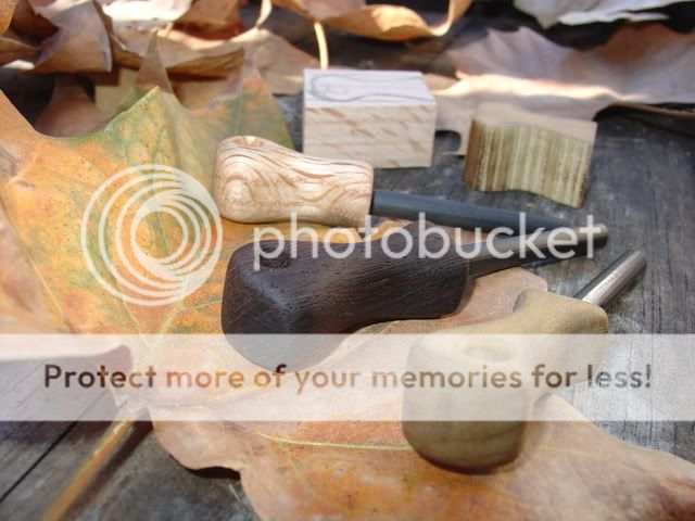 DSC03795.jpg