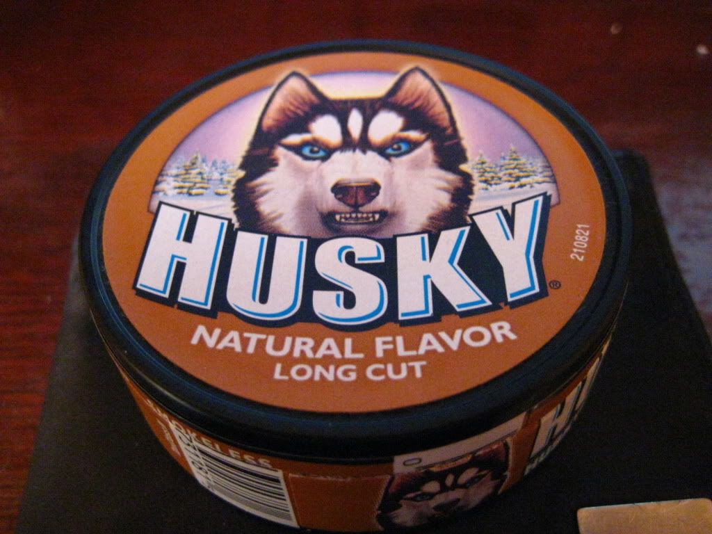 Huskynatty002.jpg