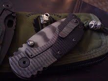 AStriderRC-1.jpg