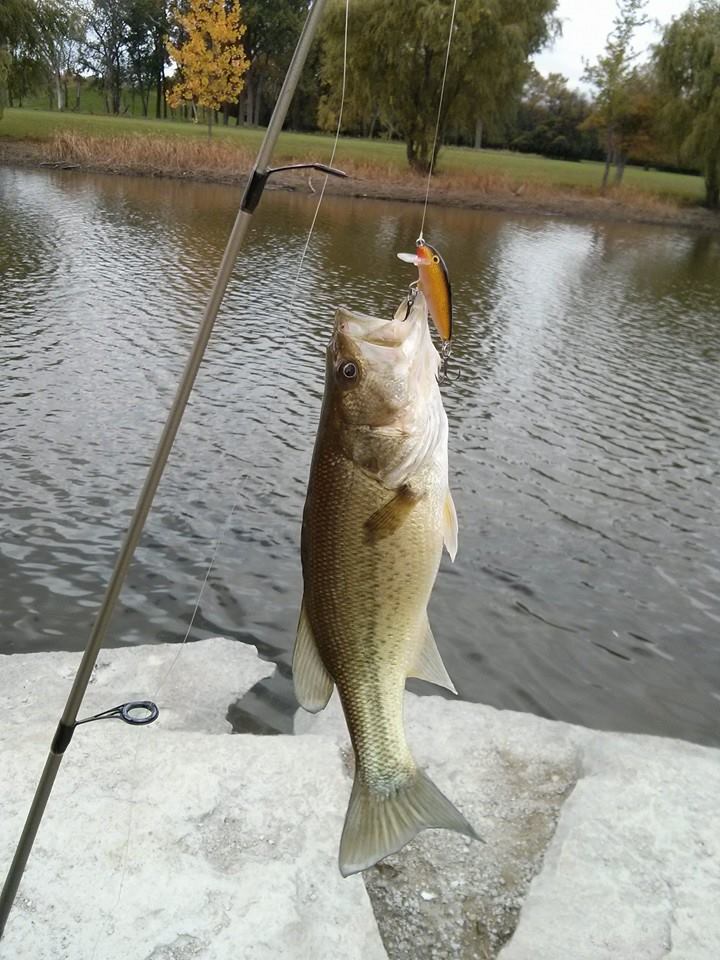 10inLargemouth_101613_Schiller.jpg
