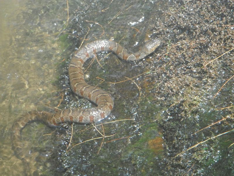 DSCF0825.jpg