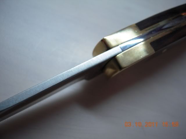 DSCN0880.jpg