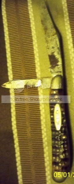 CasePeanutfrontwithtangstamp.jpg
