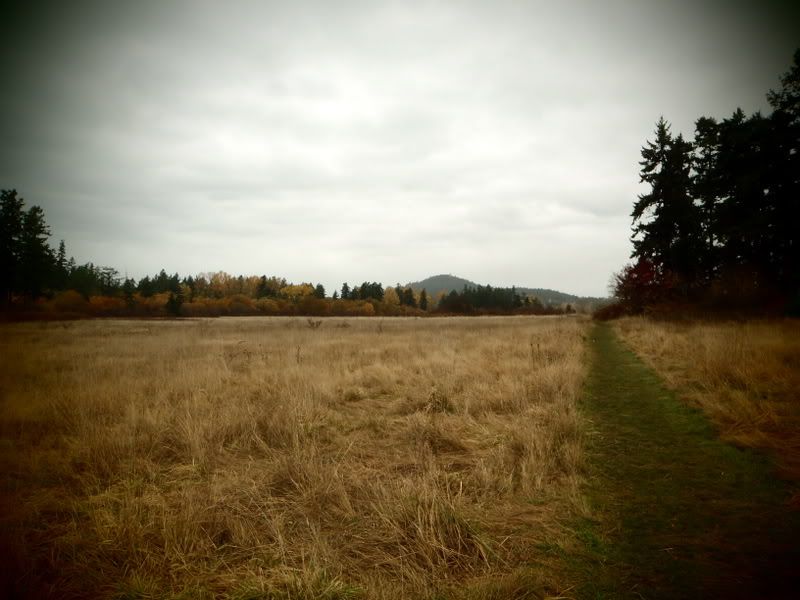 PB160002.jpg