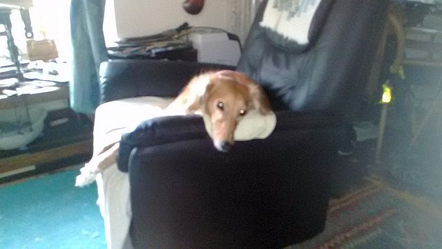 P_20150424_163940.jpg