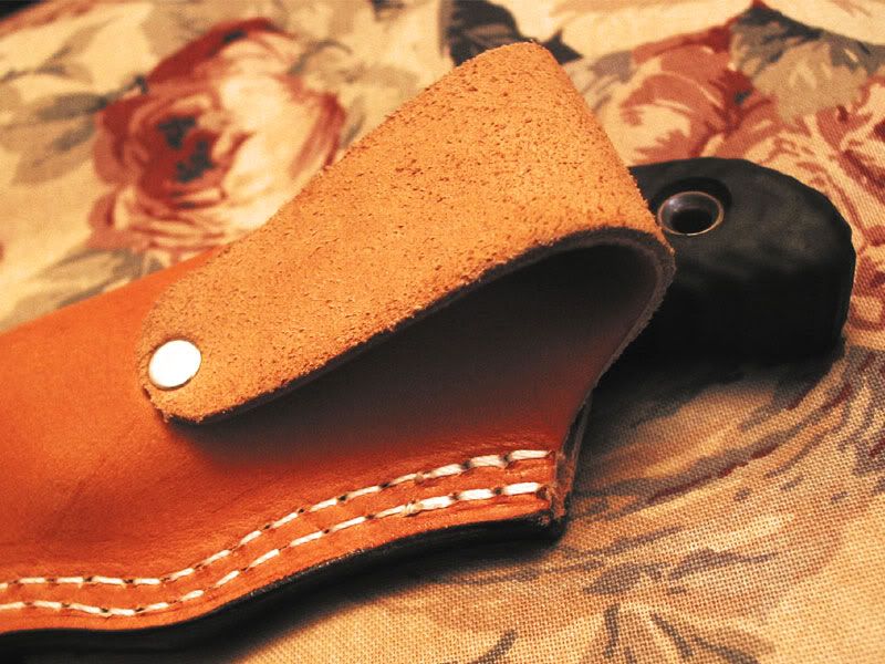 back-of-sheath.jpg