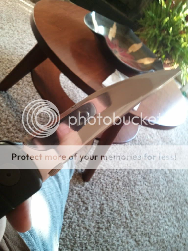 WP_001060.jpg