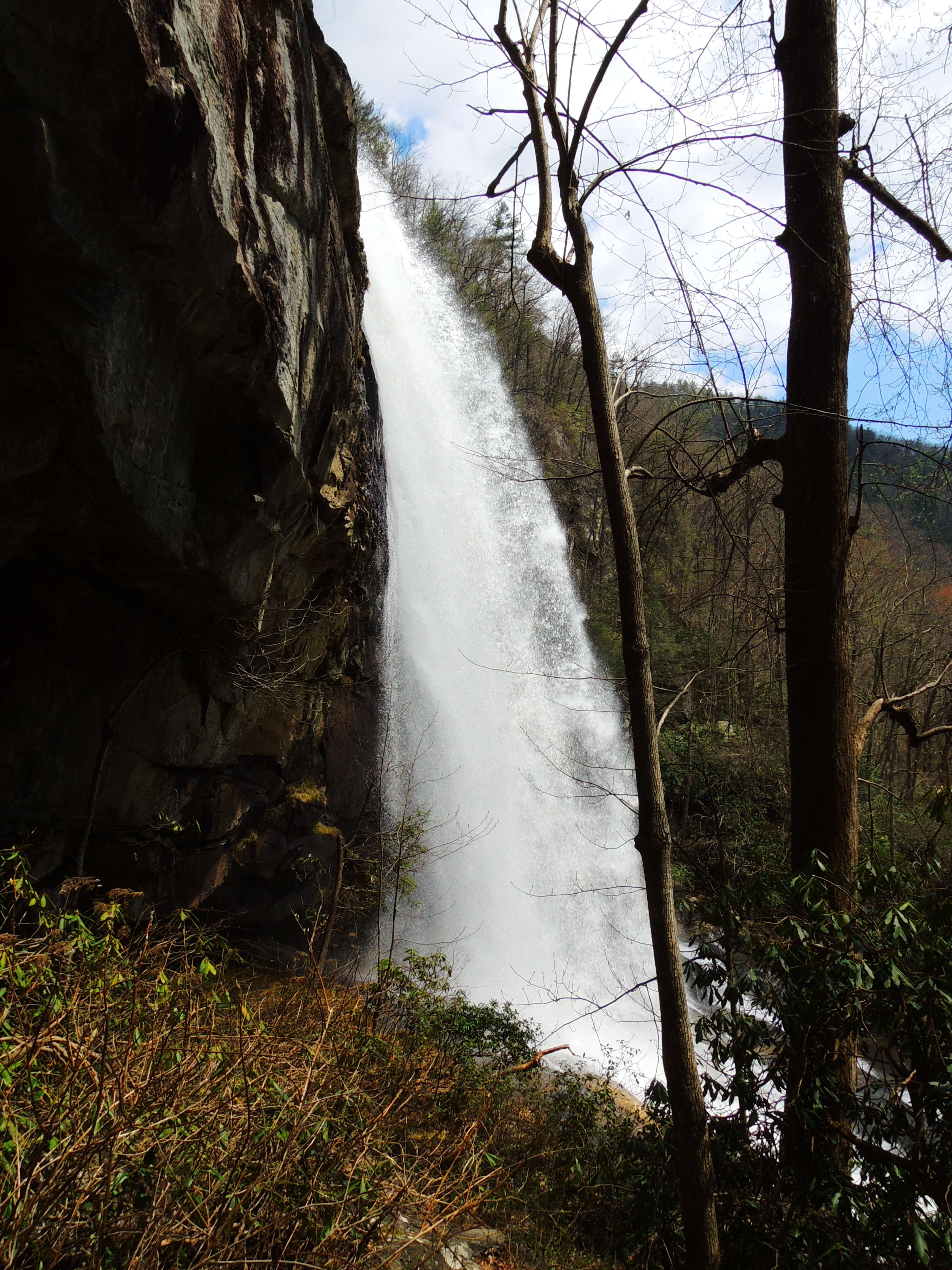 dscn0288s.jpg