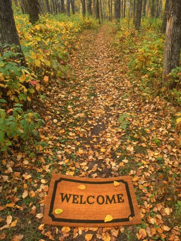 welcome-mat-on-forest-trail_zps14dfca5d.jpg