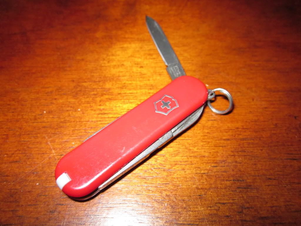 sak001.jpg