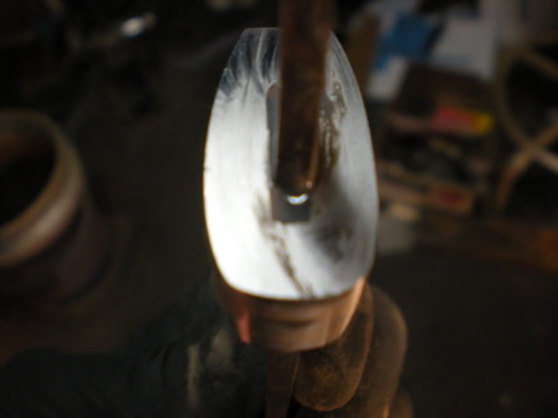 DSCN1083.jpg