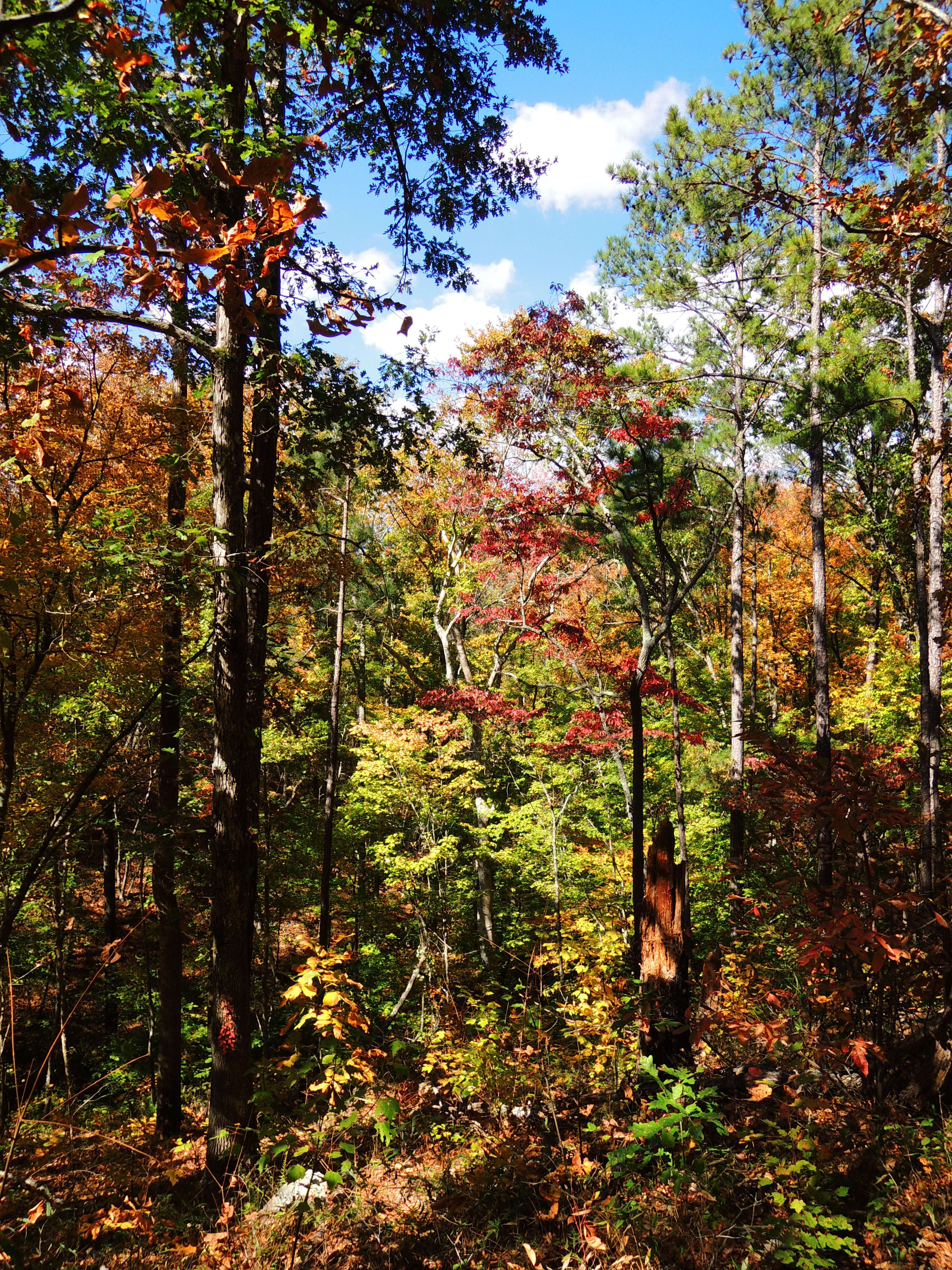 dscn2700f.jpg
