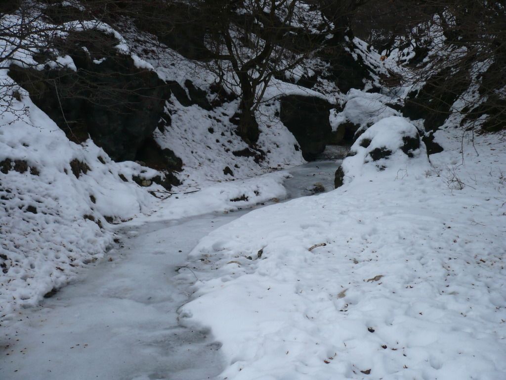 P1050626.jpg