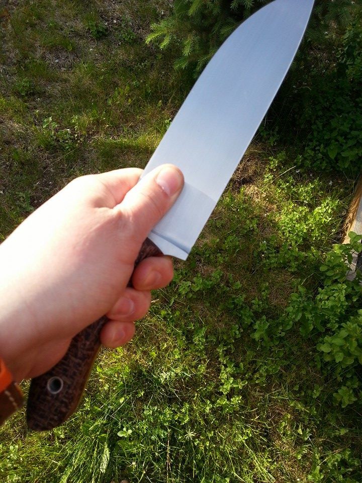 camp6.jpg