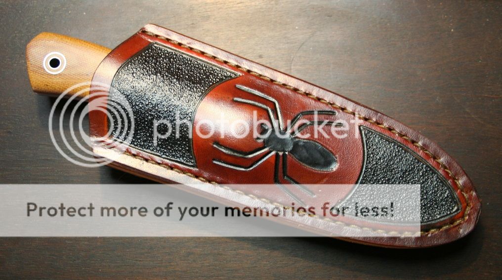 sheath_nessmuk_1.jpg