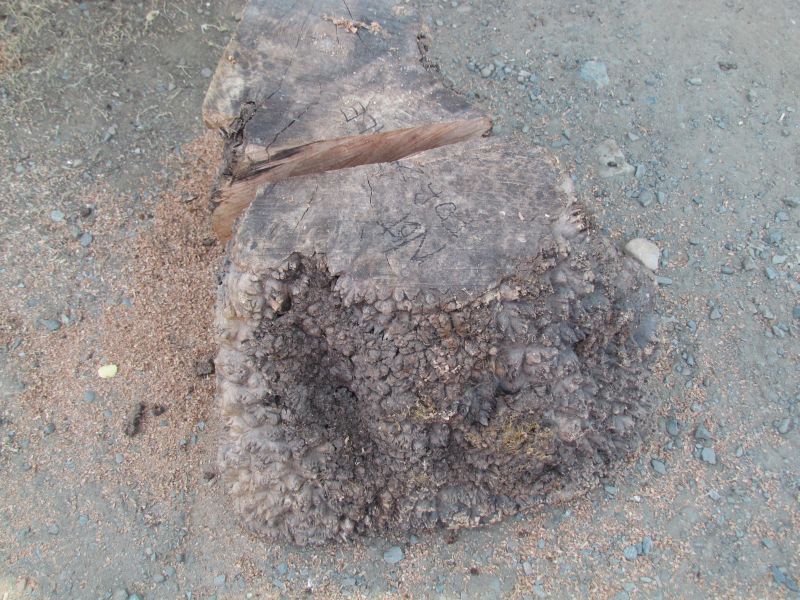 mb001_zps6ae395ad.jpg