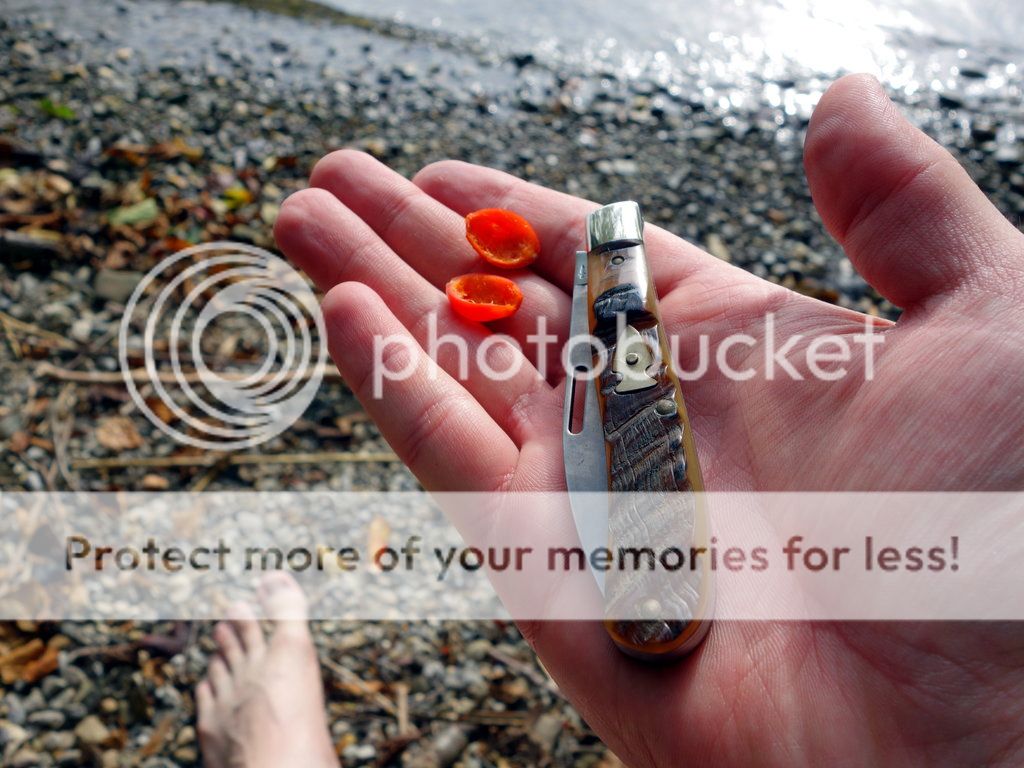 Bicycle_Tour_11_small_zpsb0baa277.jpg