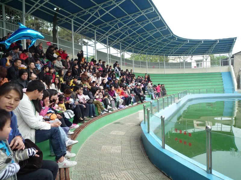 P1060232.jpg