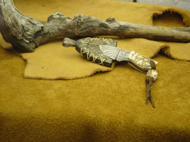 DSC02528.jpg