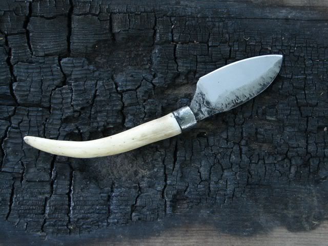 antler1-2.jpg