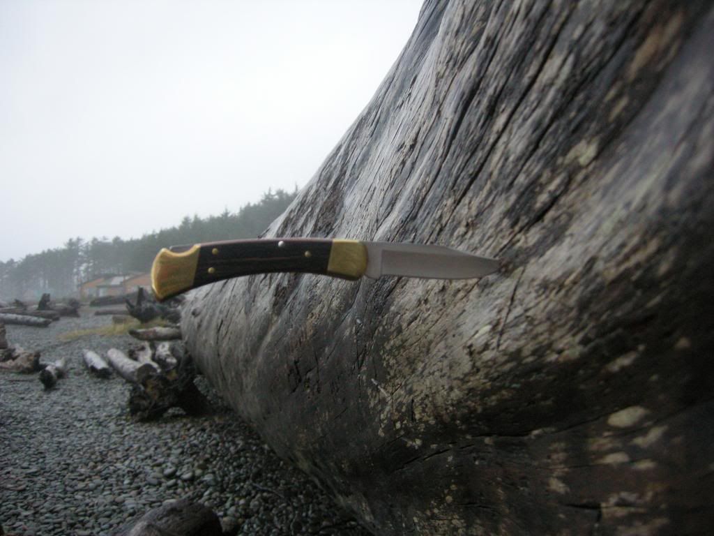 DSCN2793_zps8df7f69e.jpg