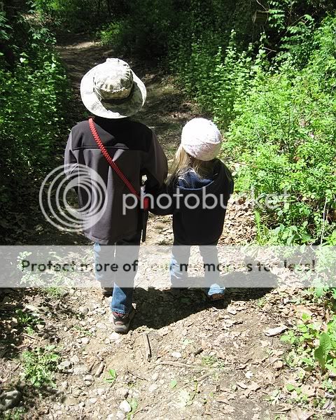 IMG_0956.jpg