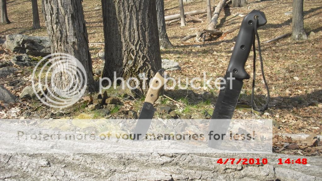PICT0016-18.jpg