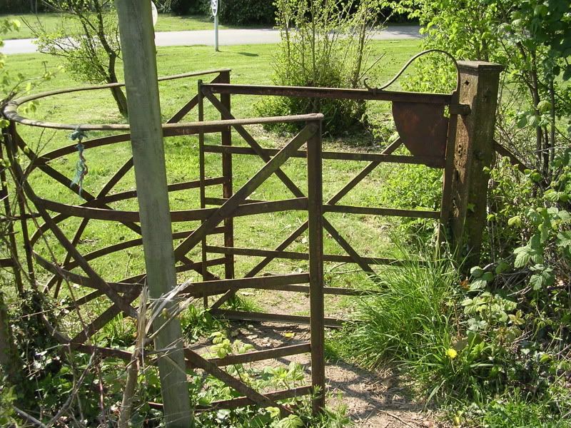 DSCN0846.jpg
