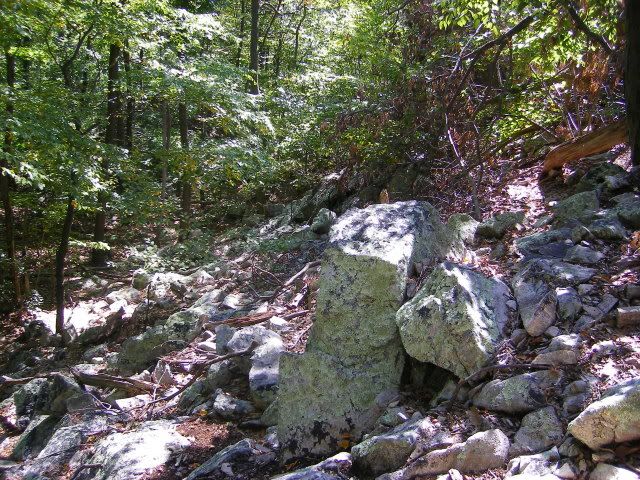 camping050.jpg