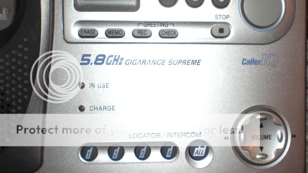 CIMG2217.jpg