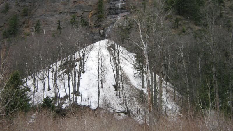 beaver2011028.jpg