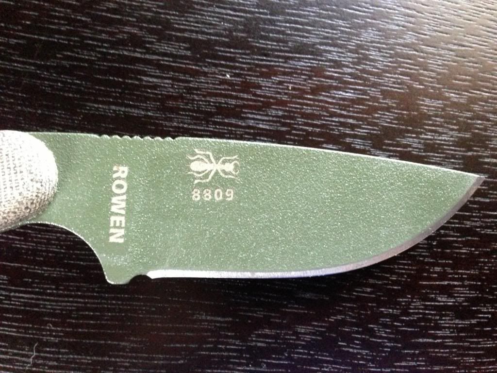 Izula4_zpsdcce2c90.jpg