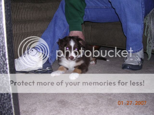 moahpics176.jpg