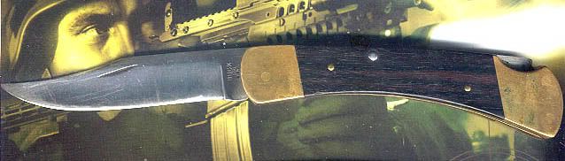 1973110.jpg