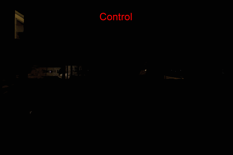 lights2.gif
